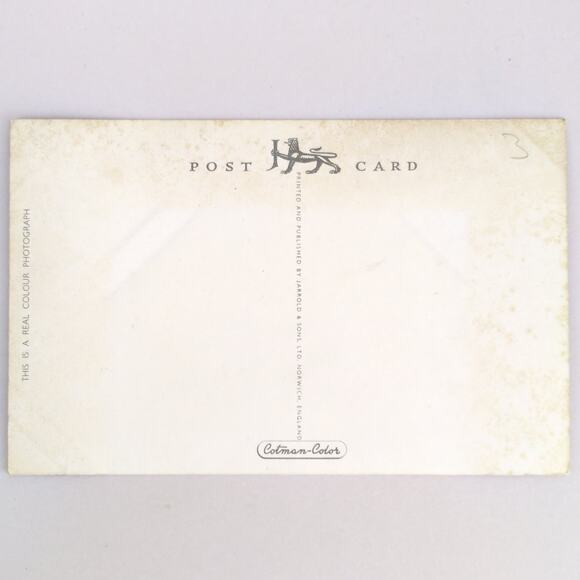 Vintage 1950s Postcard Vane Hill Torquay Harbour Devon England Jarrold Unused - Picture 2 of 2